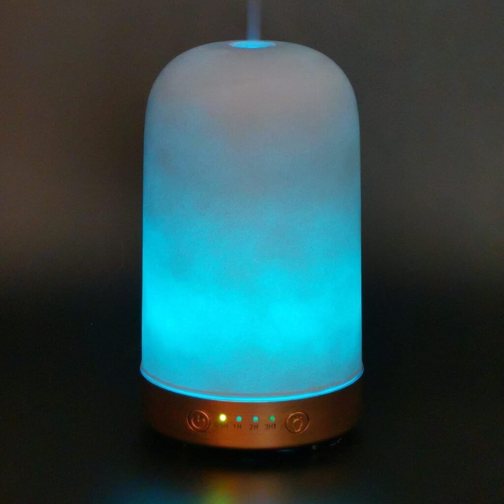 Earnest Living Essential Oil Diffuser White Ceramic Diffuser 100 ml Timers Night Lights and Auto Off Function Home Office Humidifier Aromatherapy Diffusers for Essential Oils